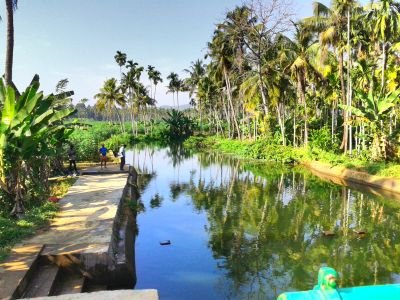 iamsyamks's profile picture. 