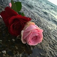 ‏﮼ابوفارس (@naif2278) Twitter profile photo