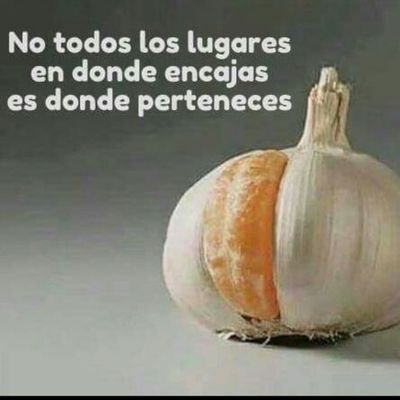 johany009's profile picture. 