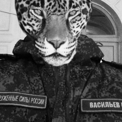 EgorCzech13's profile picture. 