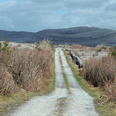 AidanMacDermott's profile picture. LED Lighting & Energy Saving since 1998