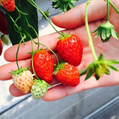 raps334's profile picture. 楽しみは見つける！！！