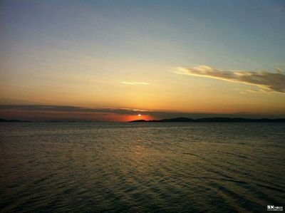 g275360's profile picture. 同游在异境