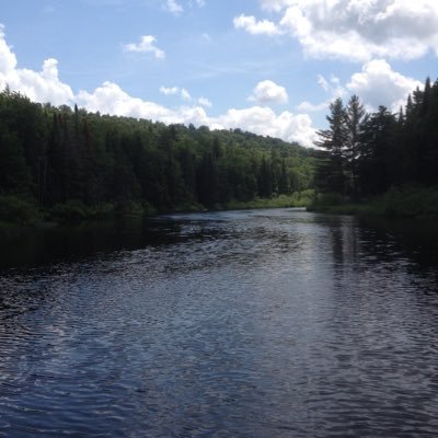 pjcoughlin911's profile picture. 