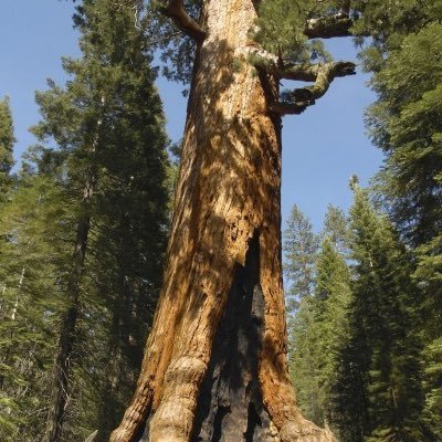Andrew262626's profile picture. 