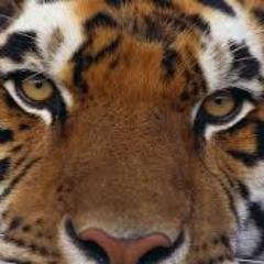 Jessy_jy79's profile picture. 