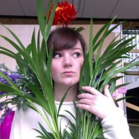 Krumpumpula (@evcalu) Twitter profile photo