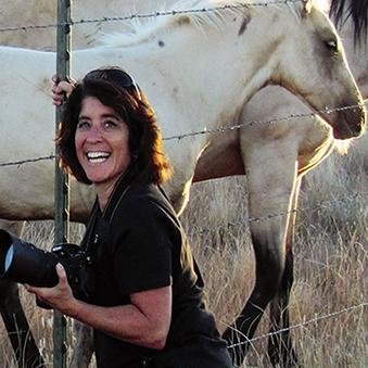 equinephotog Profile Picture