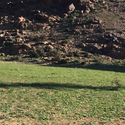 alsahr6's profile picture. سبحان الله وبحمدة سبحان الله العظيم