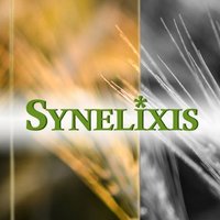 Synelixis Solutions (@synelixis) 's Twitter Profile