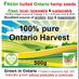 Ontario hemp foods (@fresh_on_hemp) Twitter profile photo Ontario hemp foods (@fresh_on_hemp) Twitter profile photo