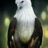 alwaveq's profile picture. 