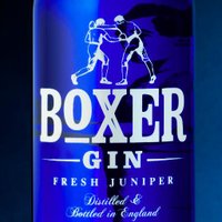 Boxer Gin(@BoxerGin) 's Twitter Profileg