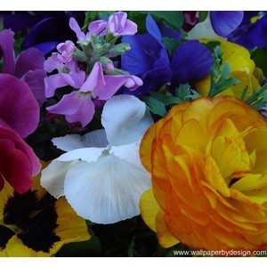 bethatgurl's profile picture. Imagine shopping freely..not for 'your wife' I track down deals/tips 4U + talk a little trash (we're girls right?) take good care ladies ox