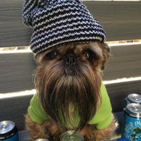 Ralphie(@RalphieNYC) 's Twitter Profile Photo