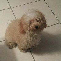 Judith Vigil (@judith_vigil) 's Twitter Profile