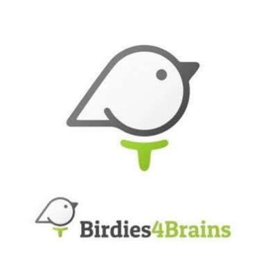 birdies4brains Profile Picture