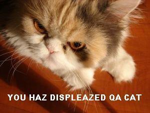 quality assurance pearls of wisdom from a cat that is especially grumpy when the testing environment goes down