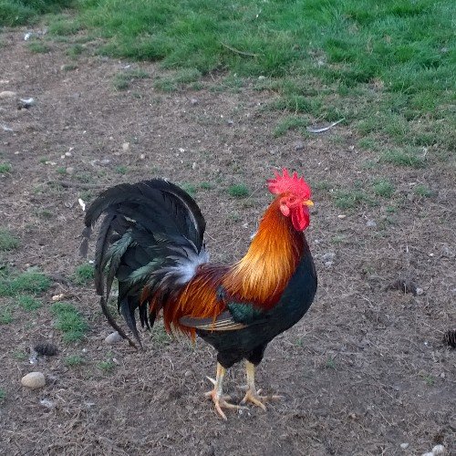 onmybrainnow's profile picture. 