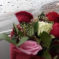 ——- (@h_m229) 's Twitter Profile