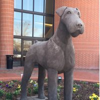 Alma High School (@almahigh_school) 's Twitter Profile Photo Alma High School (@almahigh_school) 's Twitter Profile Photo