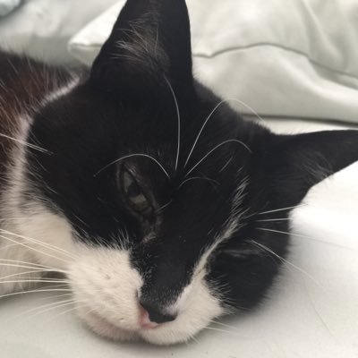 mvanier42's profile picture. Teaching professor at Caltech.  Twitter sucks, go to Bluesky instead.