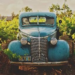 Evaluenation1's profile picture. 