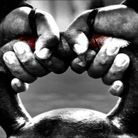 Frank McPartlan (@frank_mcpartlan) 's Twitter Profile