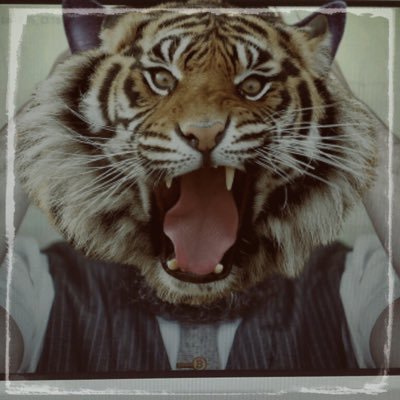 VikArpanet's profile picture. 