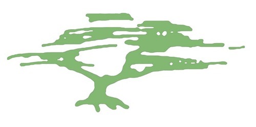 ForeningenSHEDO's profile picture. Självskadebeteende och Ätstörningar
Kunskap, opinion och stöd för professionella, drabbade och anhöriga.