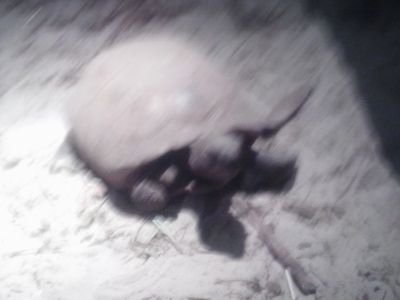 jasminemiller31's profile picture. For all the fangirls who want their senpai to notice th. Btw im Jasmine