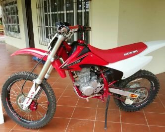 luiscardona1111's profile picture. 