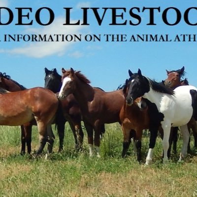 YOUR SOURCE FOR INFORMATION ON THE ANIMAL ATHLETES OF RODEO