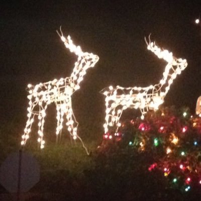 Laker12321's profile picture. 