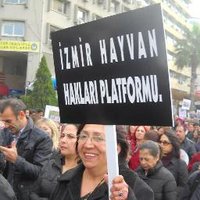 Begüm Can Rorhan (@canrorhan) 's Twitter Profile