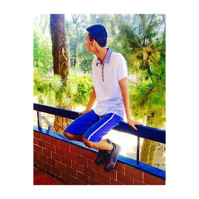 saulopola12's profile picture. 