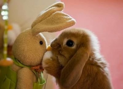 mi_kpp's profile picture. 