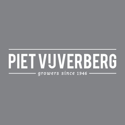 Piet Vijverberg is een moderne kwekerij, gevestigd in het Westland. Het familiebedrijf kweekt de kamerplanten Phalaenopsis en Dracaena.