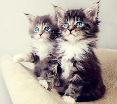 Batrisyia1208's profile picture. sy insan biasa yg tak punya apa. hanya ada Allah dihati.