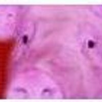 Astoboy22 (@sparschweinblog) 's Twitter Profile