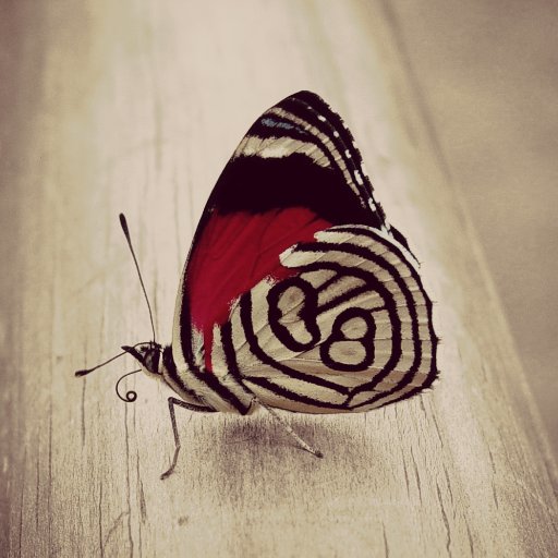 Don't compare yourself with anyone in this world...if you do so, you are insulting yourself.