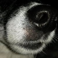 Invictus Maneo (@signpostnorfolk) 's Twitter Profile Photo