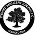 Lydiard Millicent FC (@LMJFC) Twitter profile photo