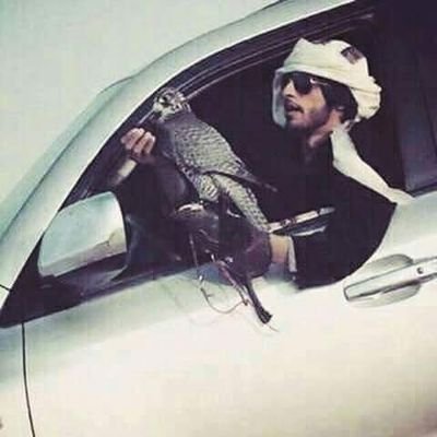 abdoon45671's profile picture. ‏‏آبقى مع اللي تحبه لـ اخر أنفاسك              
العمر من دون غالي : ماهو بغالي