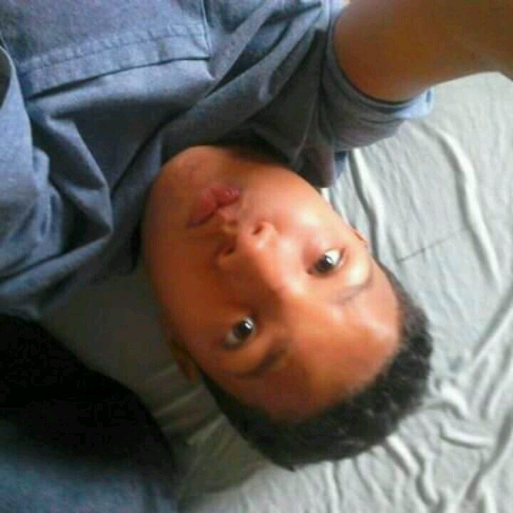 petrusleonar's profile picture. 