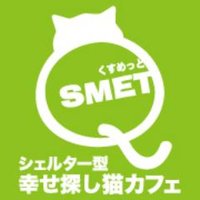 保護猫カフェQsmet (@qsmet_cat) 's Twitter Profile