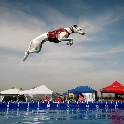 chanyaqi1's profile picture. 