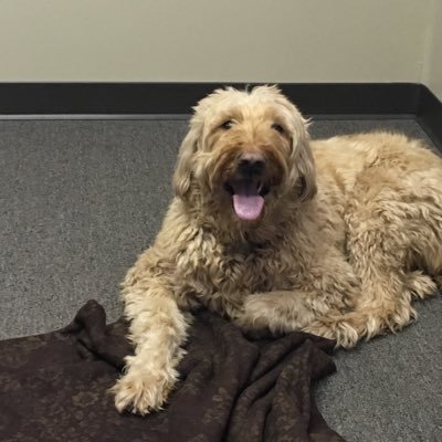kaymnoah's profile picture. 