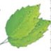 Condex Energy (@condexenergy) Twitter profile photo Condex Energy (@condexenergy) Twitter profile photo