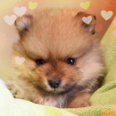 TakaSatani's profile picture. 